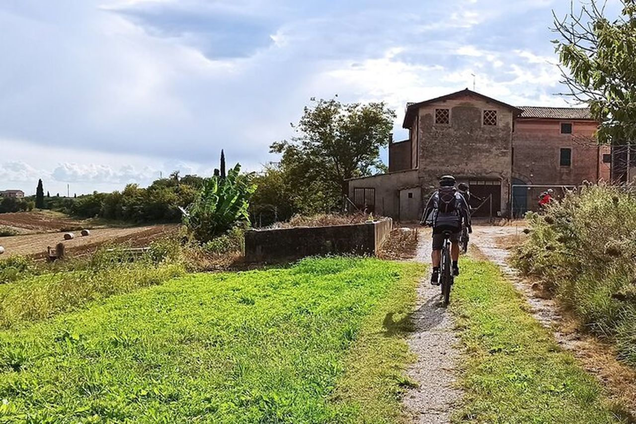 E-Bike Tour e degustazione di vini da Bardolino — 4