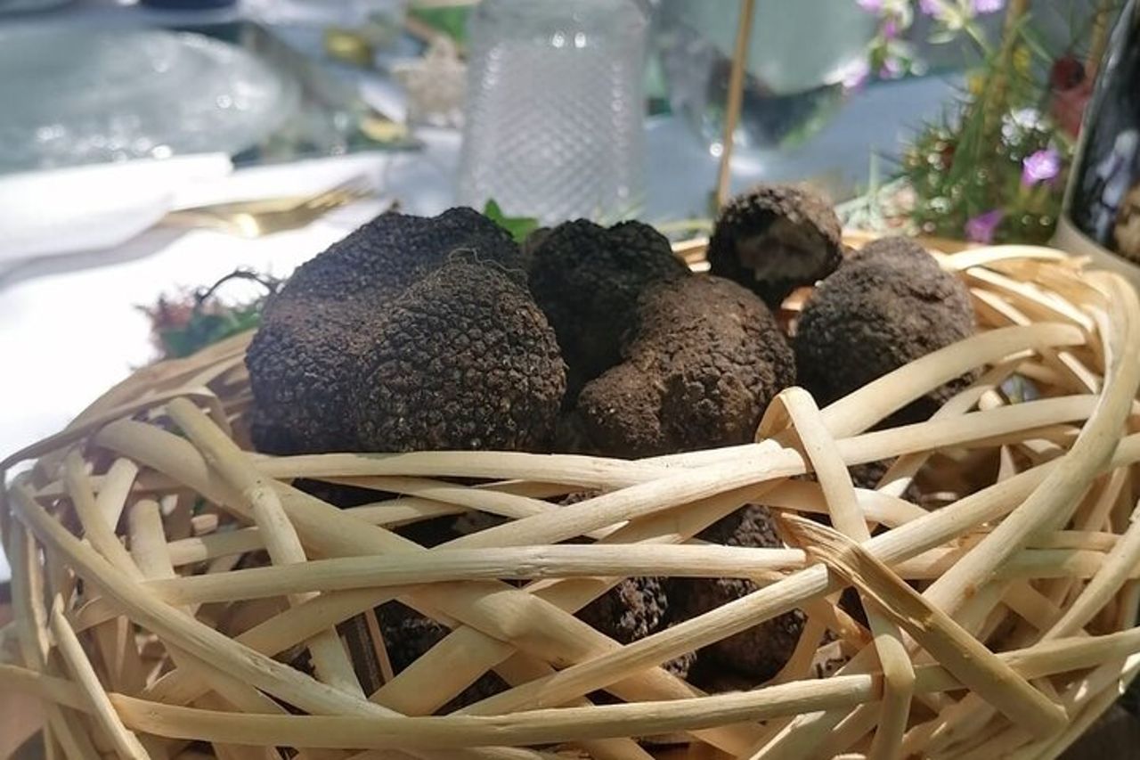 Gita di un giorno: caccia al tartufo con pranzo + visita guidata di Montefalco