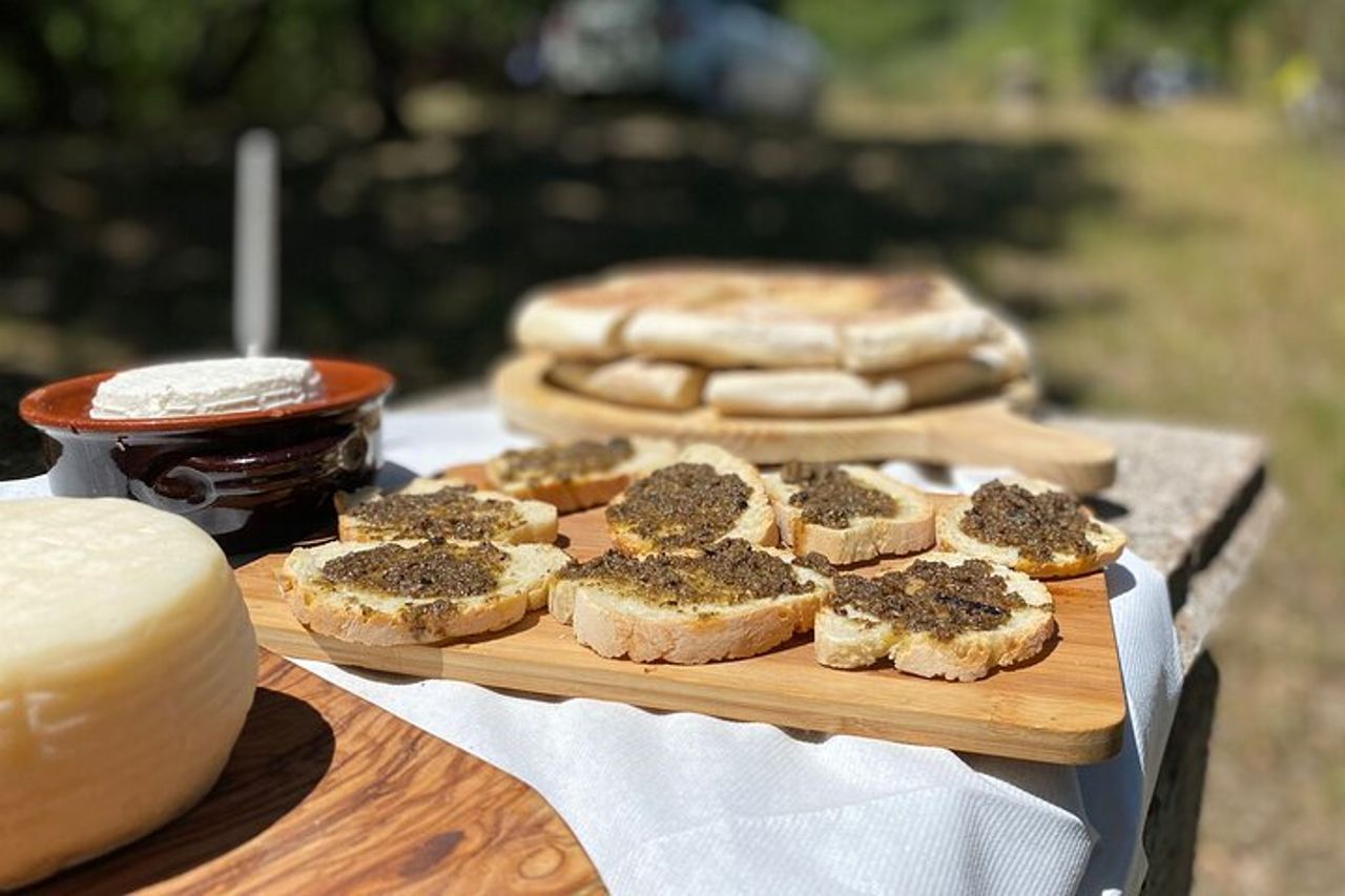 Gita di un giorno: caccia al tartufo con pranzo + visita guidata di Montefalco — 5