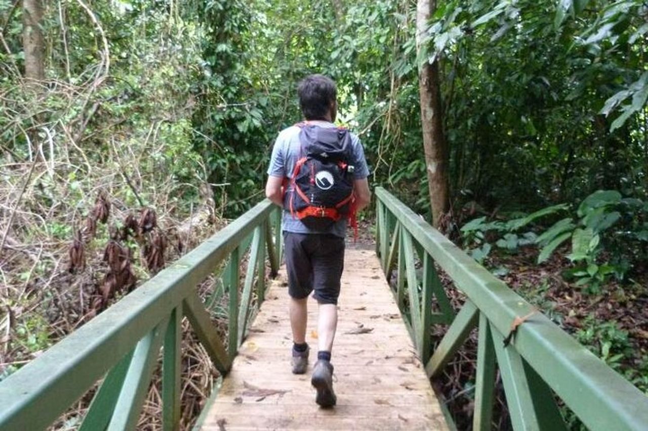 Parco nazionale del Corcovado - Tour di un giorno da Drake Bay — 2