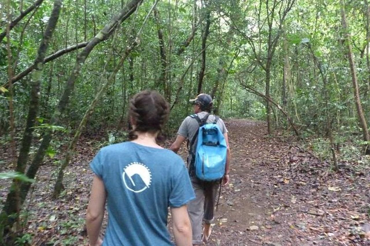 Parco nazionale del Corcovado - Tour di un giorno da Drake Bay — 8