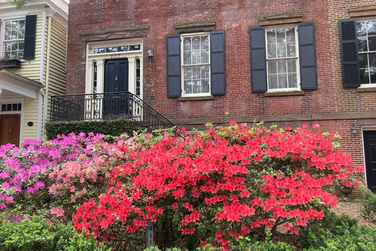 Tour a piedi delle attrazioni imperdibili di Savannah