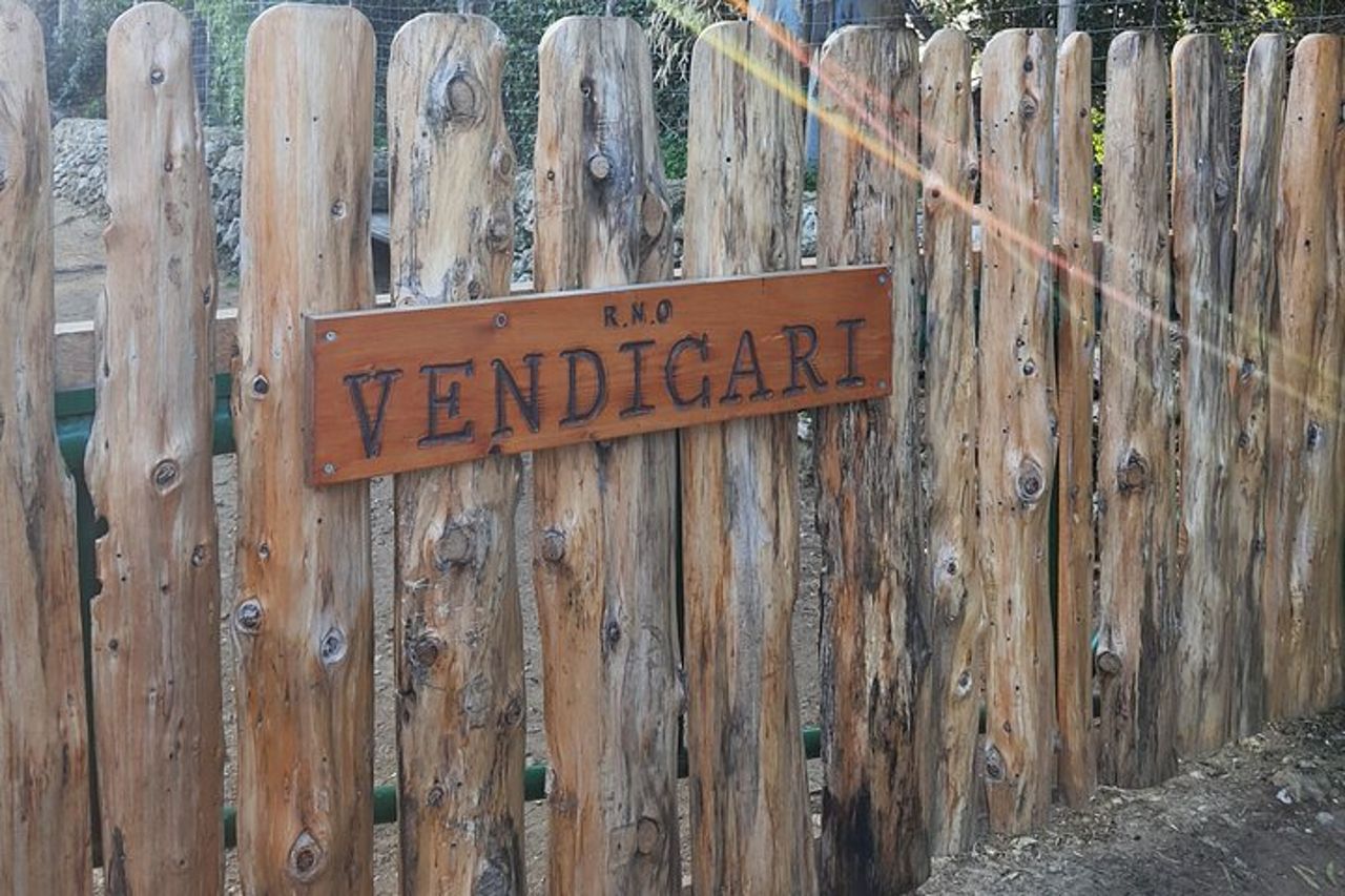 Escursione privata nella Riserva di Vendicari con Birdwatching — 6