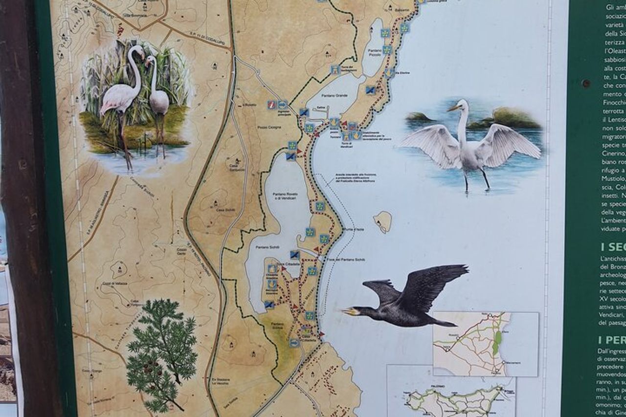 Escursione privata nella Riserva di Vendicari con Birdwatching — 8