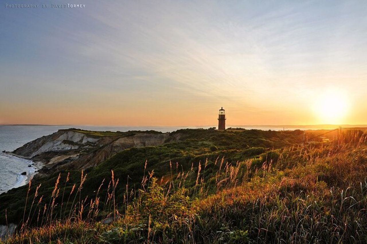 Boston : Martha's Vineyard ICONIC Fuga di un giorno per piccoli gruppi con traghetto — 6