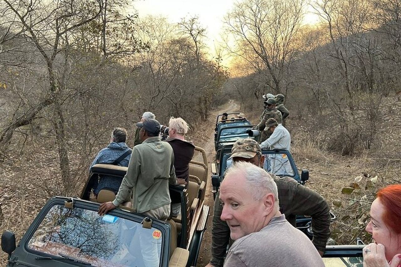 Ranthambore - Condivisione Tiger Safari In Canter 20 posti Veicolo — 4