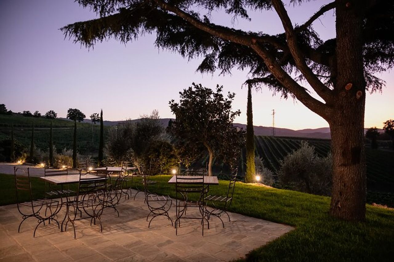 Montalcino: Tour della Cantina, Degustazione di Brunello e Aperitivi — 5