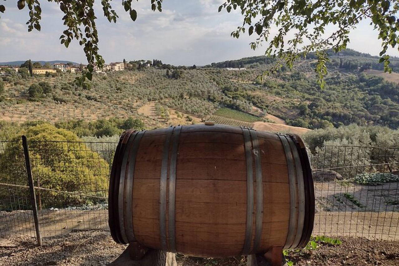 Chianti: eno-escursione tra le vigne — 5