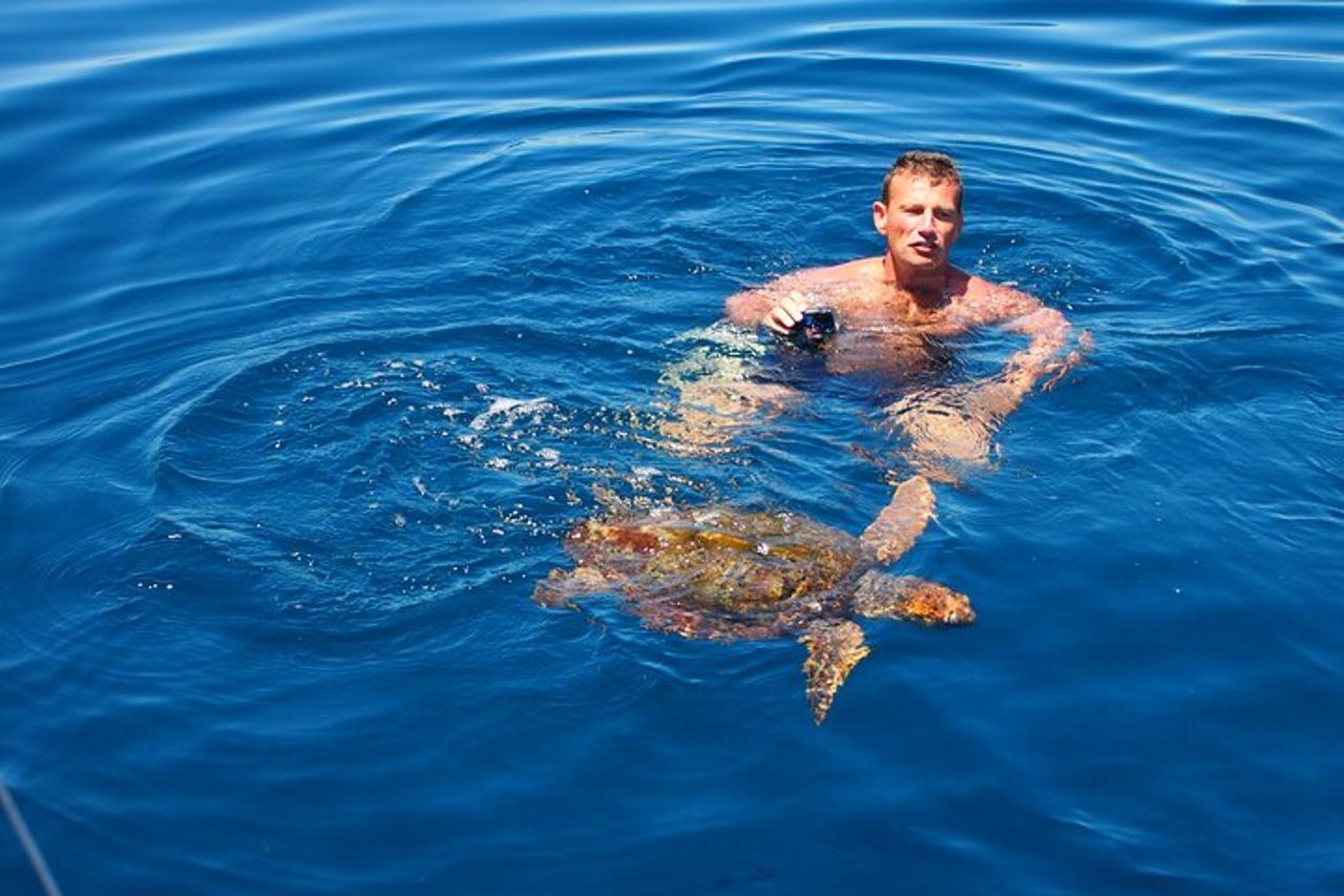 Vela privata - dolphin Experience Estepona - drink & food - 4h — 6