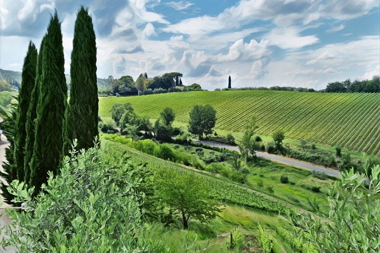 Tour del vino tutto compreso nel Chianti Toscana Servizio limousine privata — 7