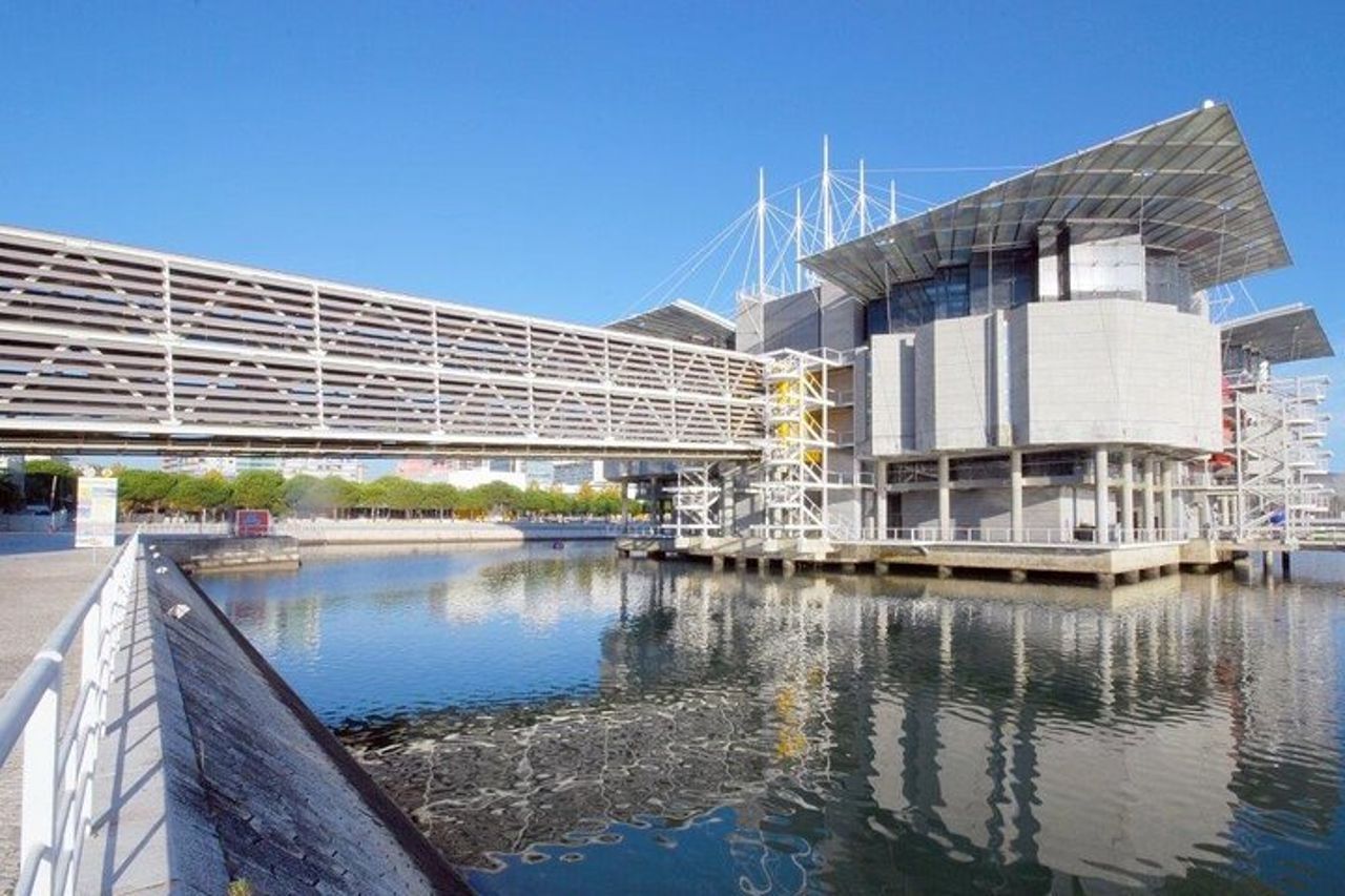 Oceanario di Lisbona: biglietto d'ingresso all'Acquario — 3