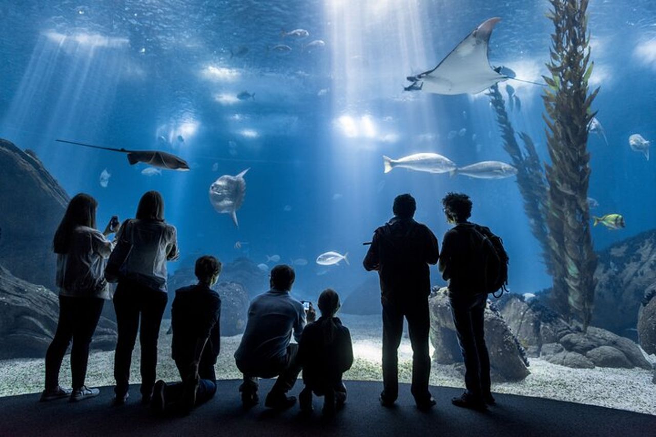 Oceanario di Lisbona: biglietto d'ingresso all'Acquario — 2