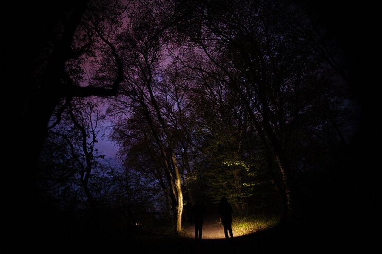 Tour notturno nella foresta di Hoia Baciu