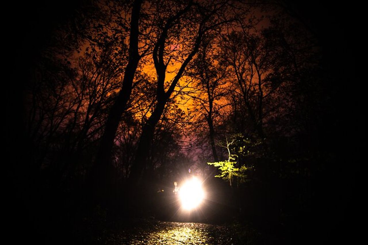 Tour notturno nella foresta di Hoia Baciu — 3