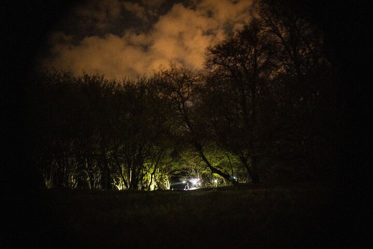 Tour notturno nella foresta di Hoia Baciu — 6
