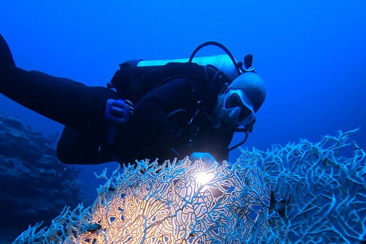 Immersioni notturne private di 2 ore nel Mar Rosso di Aqaba