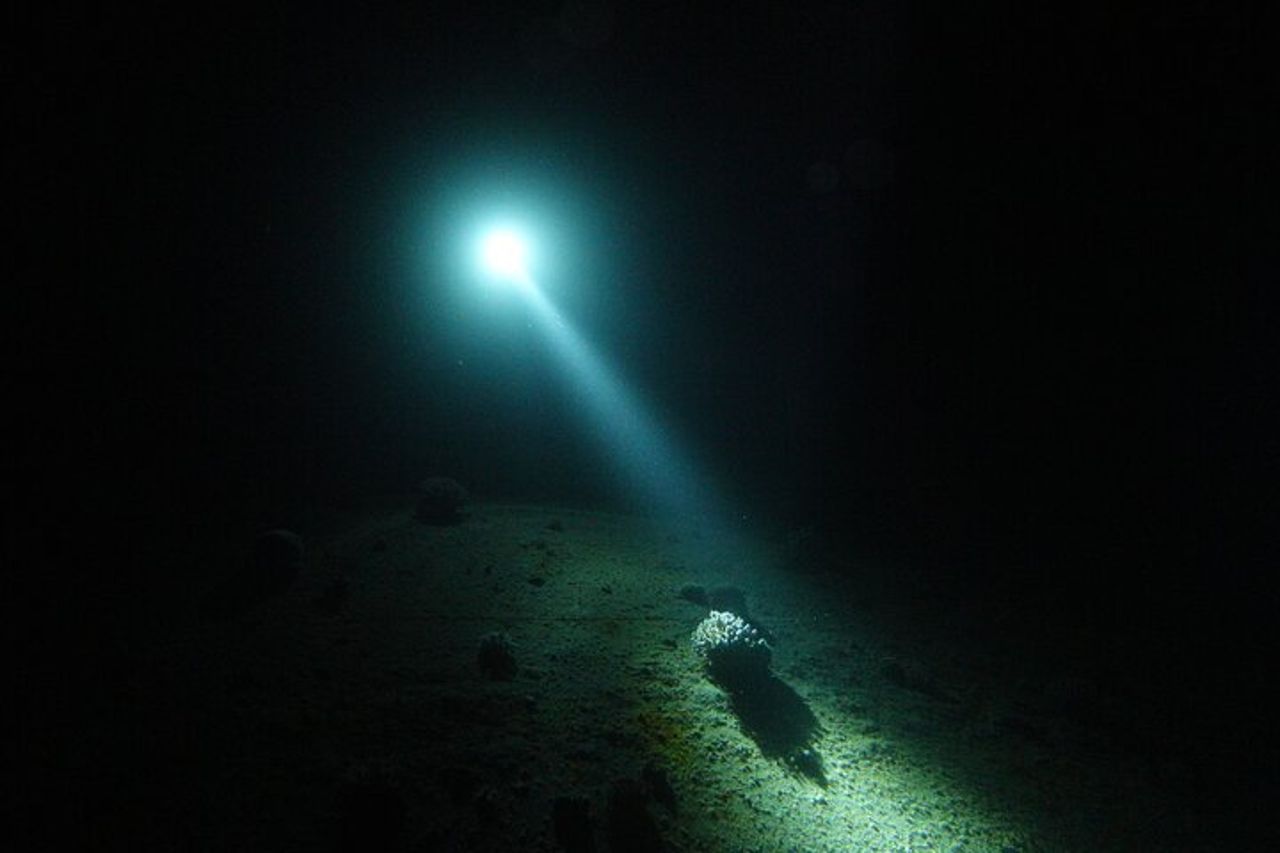 Immersioni notturne private di 2 ore nel Mar Rosso di Aqaba — 6