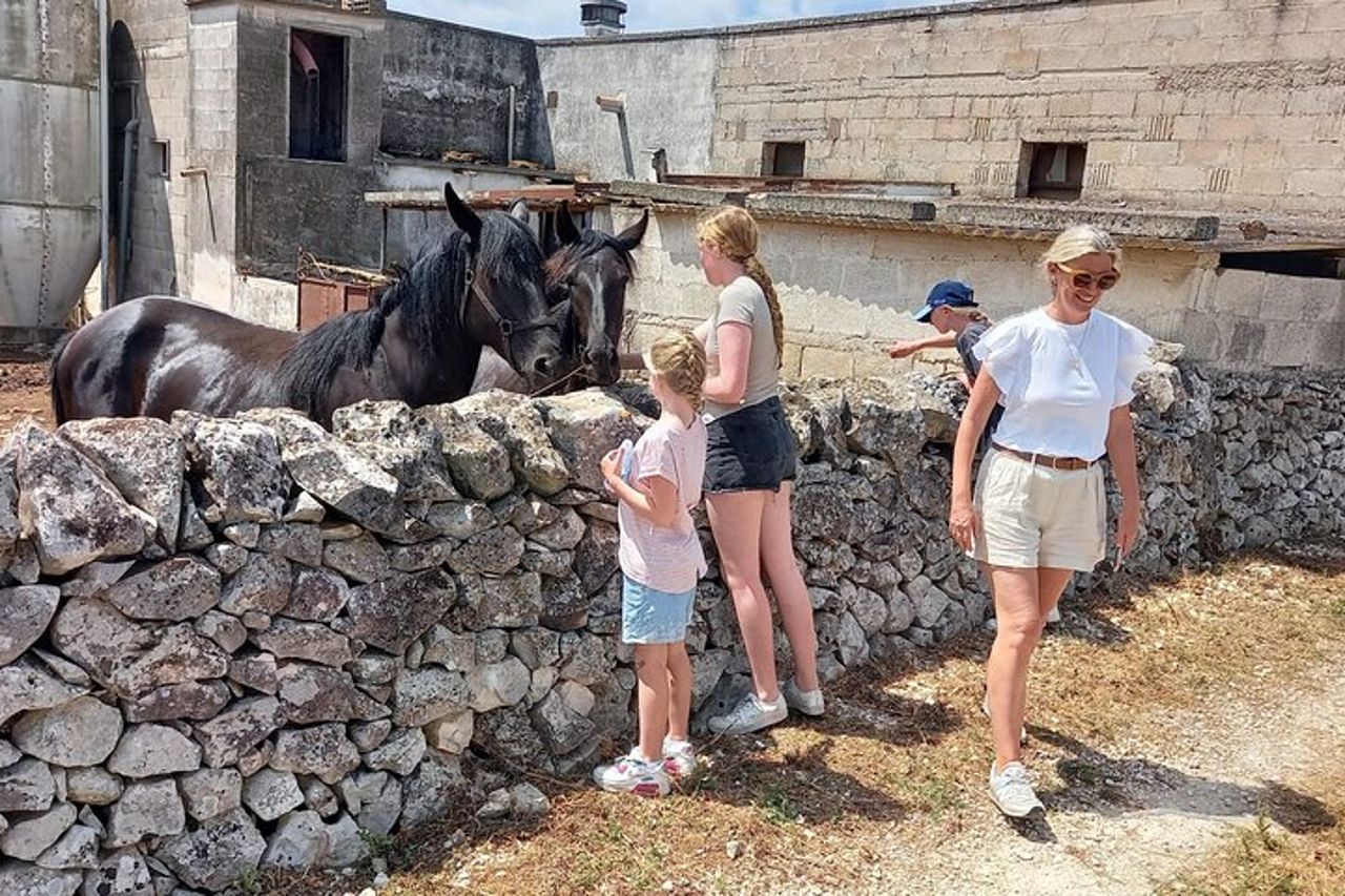 Alberobello in e-bike. Trulli, campagna, mulino ed asinelli — 7