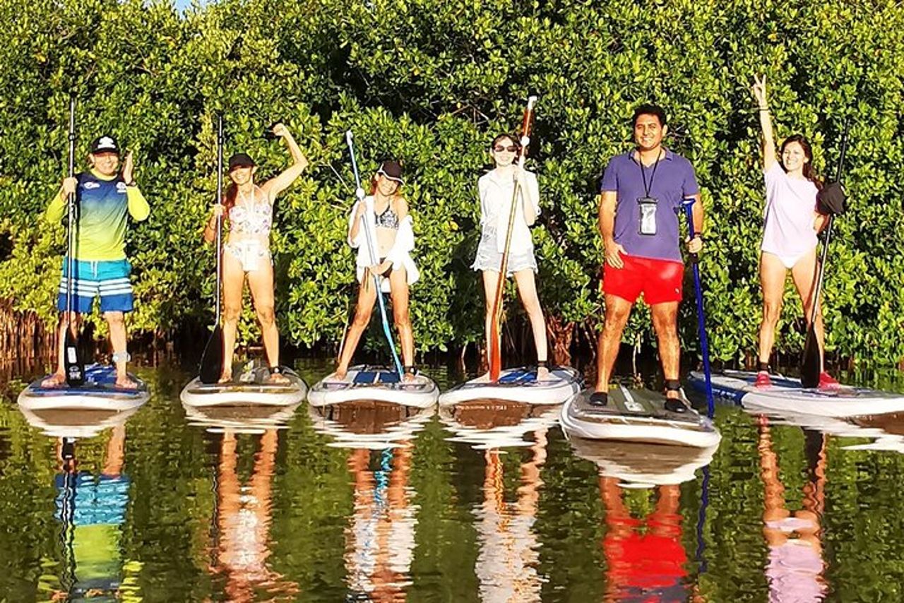 Impara il paddle board ed esplora le mangrovie di Progreso — 7