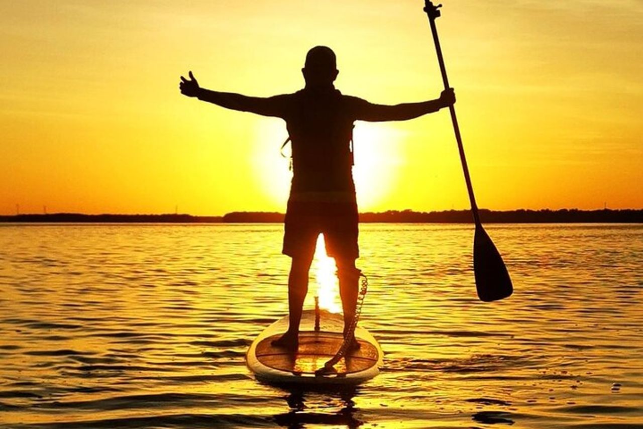 Impara il paddle board ed esplora le mangrovie di Progreso — 2