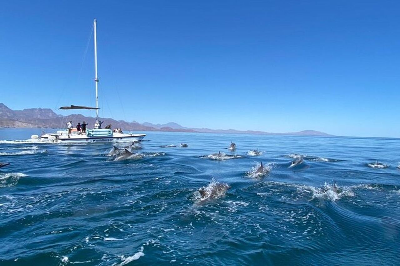 Snorkeling Crociera sull'isola in catamarano — 3
