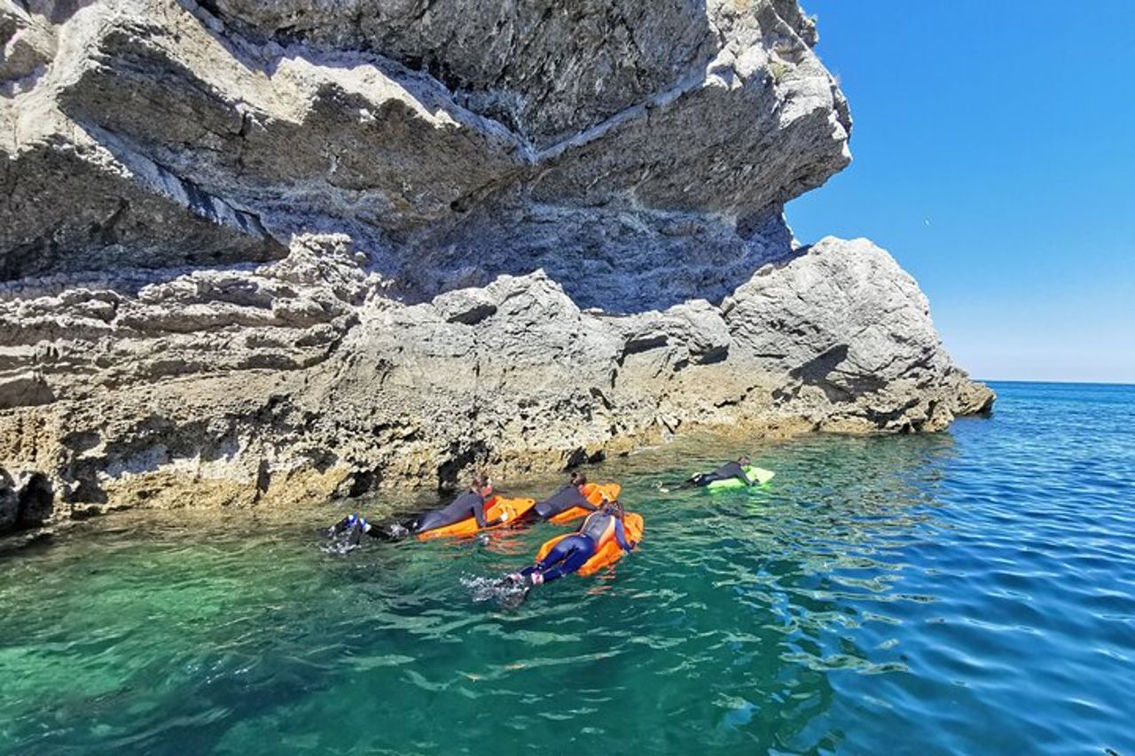 Sesimbra di Seaview Board — 2