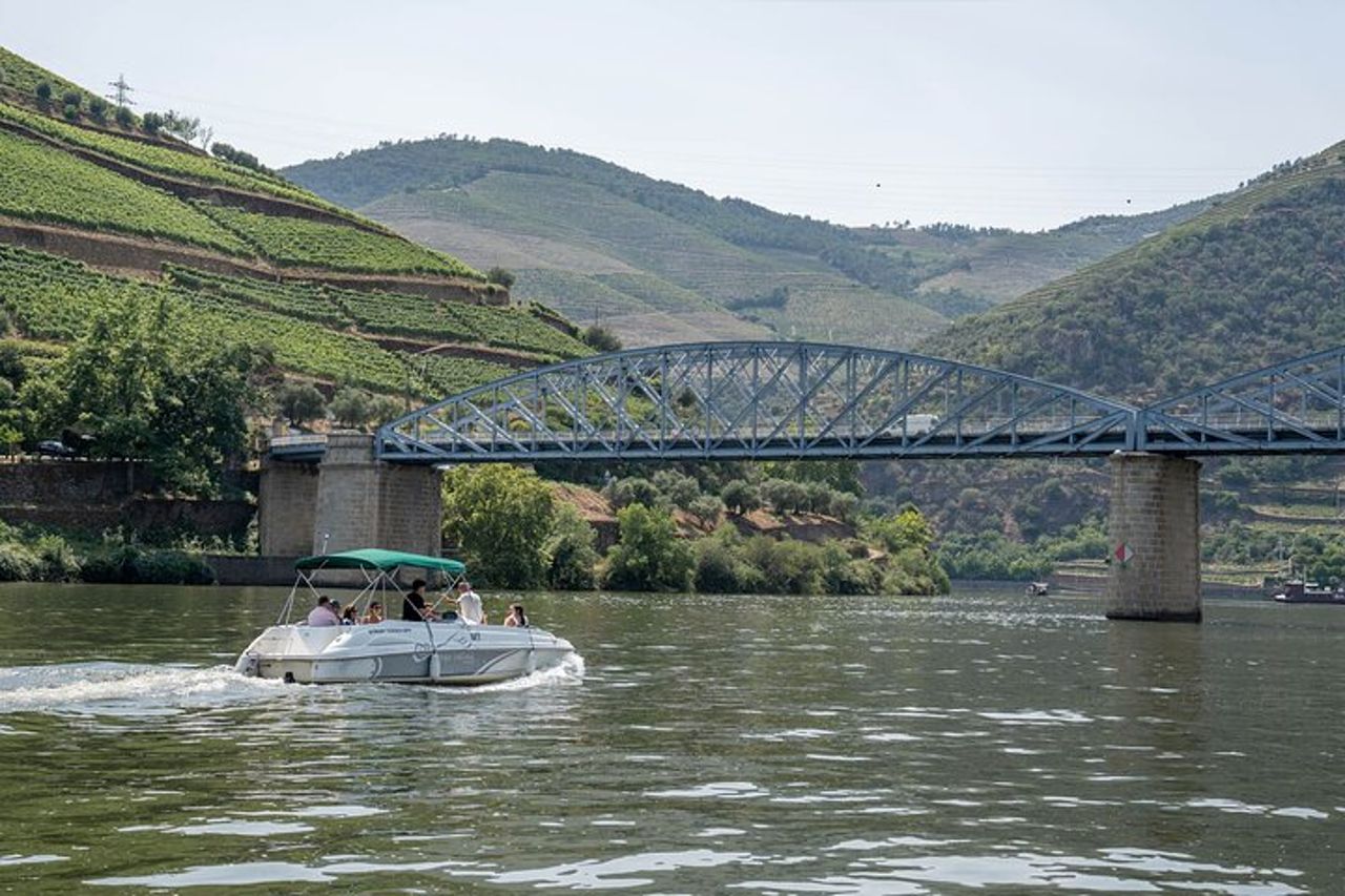 Tour del vino della Valle del Douro per piccoli gruppi con pranzo e crociera — 7
