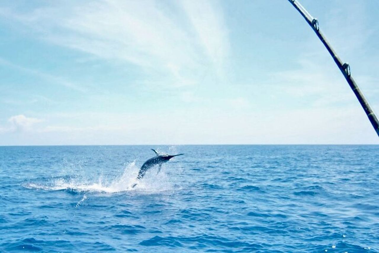 Carta di pesca privata dall'Hotel Villa del Palmar — 7