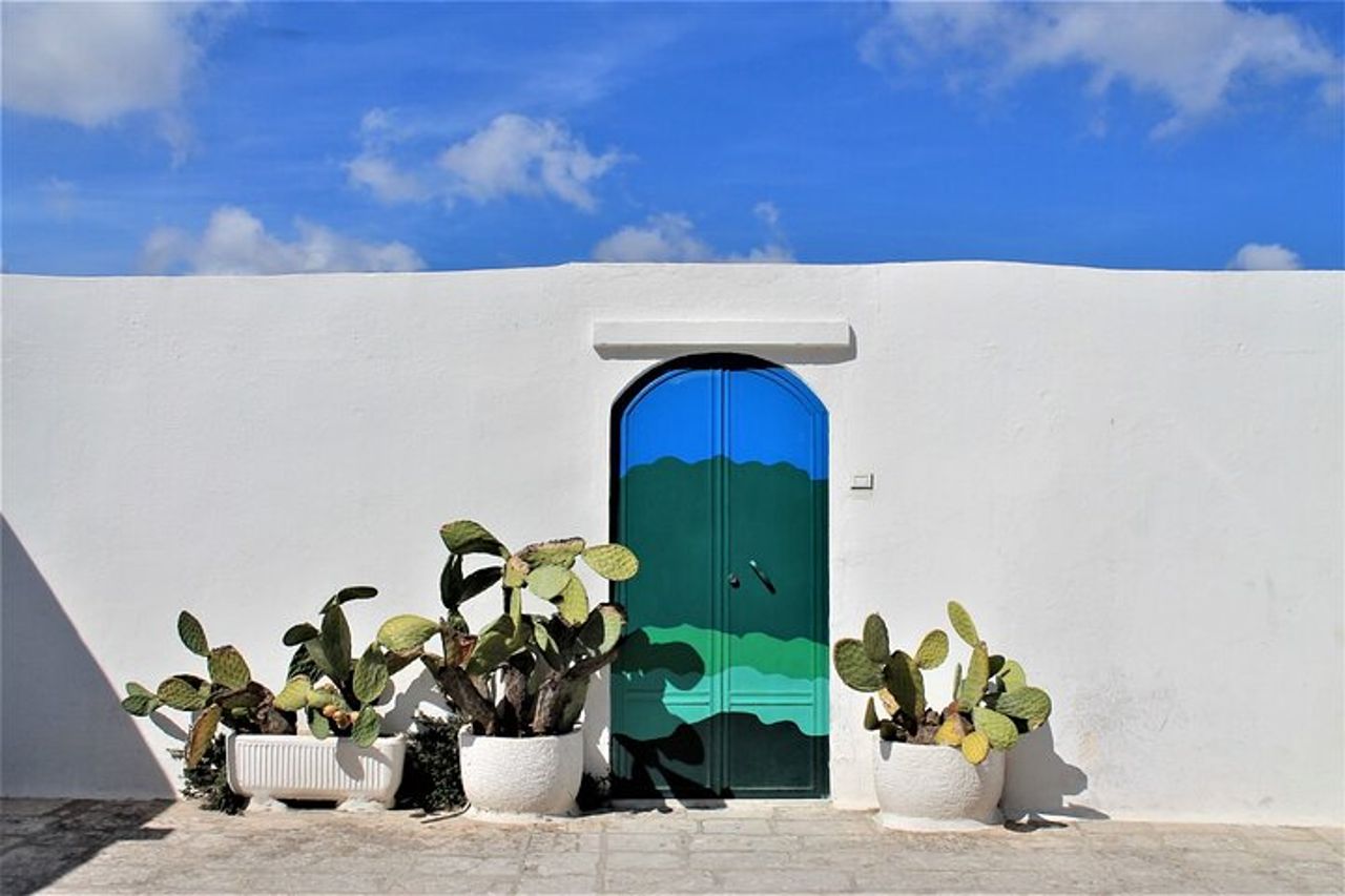 E-bike tour nella Piana degli Ulivi secolari di Ostuni — 3