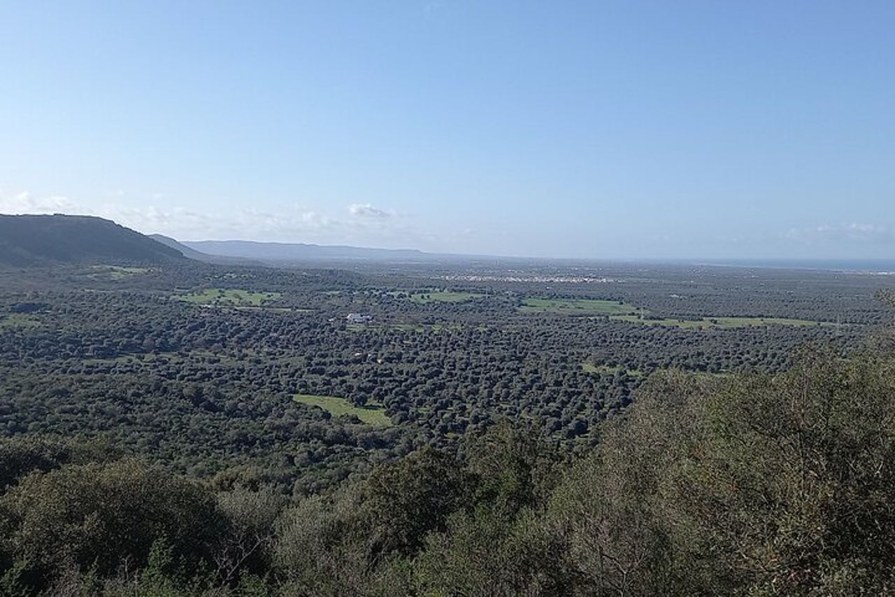 E-bike tour nella Piana degli Ulivi secolari di Ostuni — 8