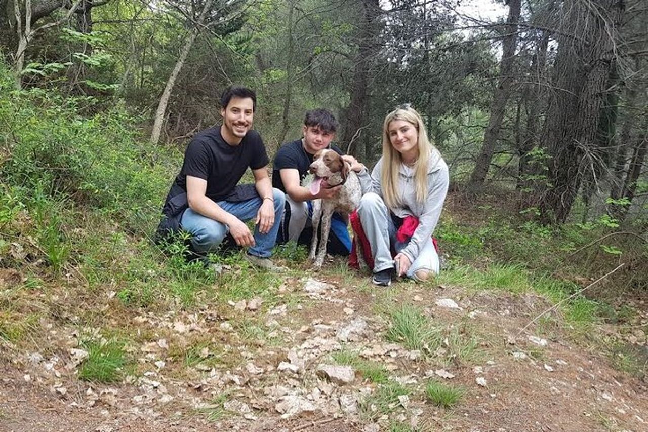 2 ore Attività Privata - Ricerca del Tartufo ad Assisi — 2