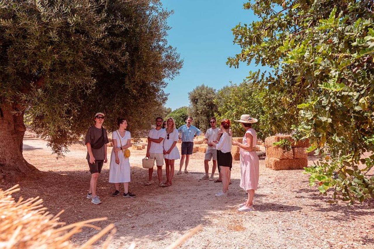 Tour Parco Rurale Masseria con Degustazione 3 etichette olio EVO — 4