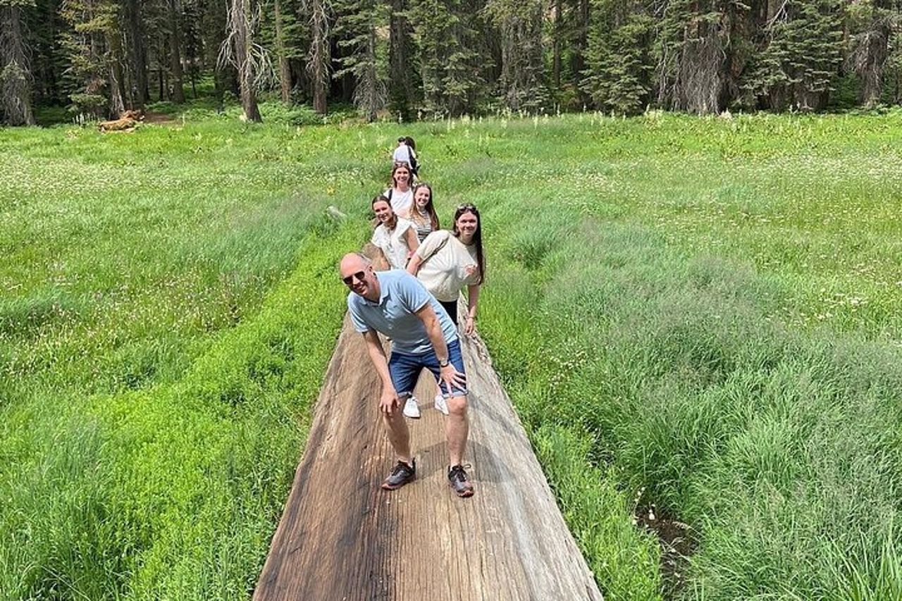 Tour per piccoli gruppi del Parco Nazionale di Sequoia da Tre Fiumi — 3