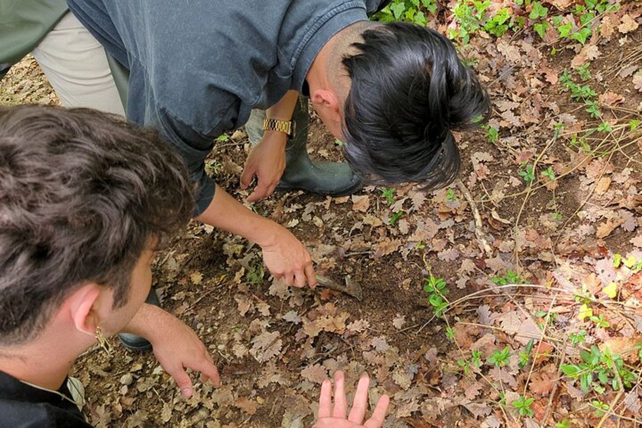2 ore Attività Privata - Ricerca del Tartufo ad Assisi