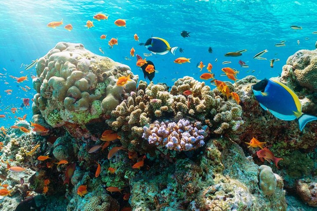 Nha Trang hopping tour Snorkeling Pranzo al barbecue Hon Tam Hot Springs — 6