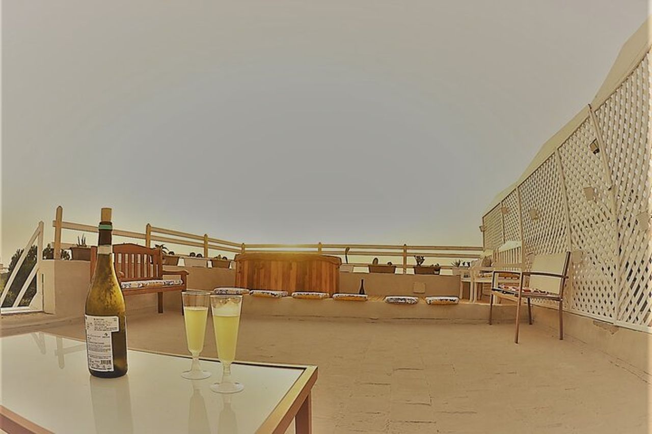 Tour in Quad- tra vigneti e Mare con calice di vino. — 2