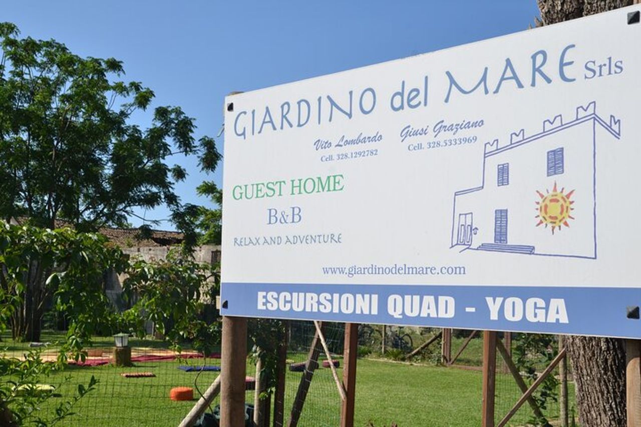 Tour in Quad- tra vigneti e Mare con calice di vino. — 4