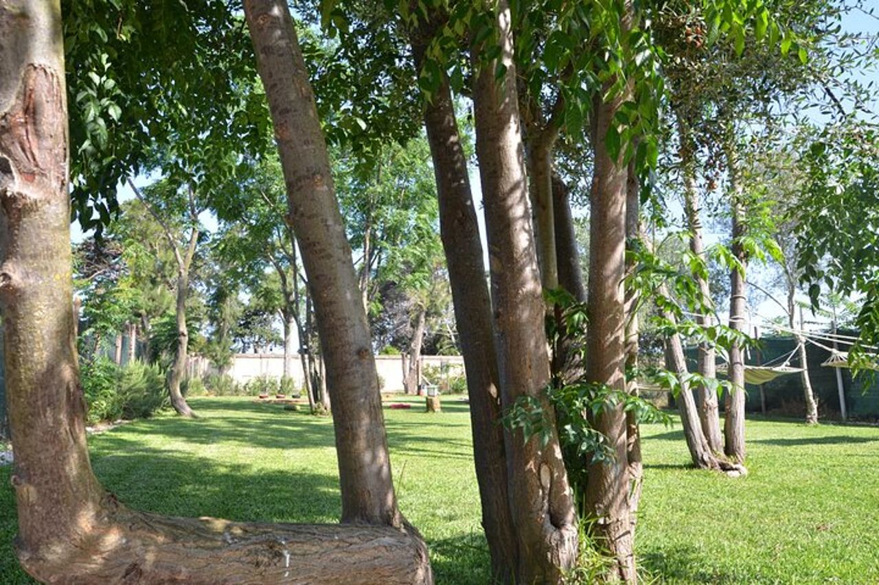 Tour in Quad- tra vigneti e Mare con calice di vino. — 5