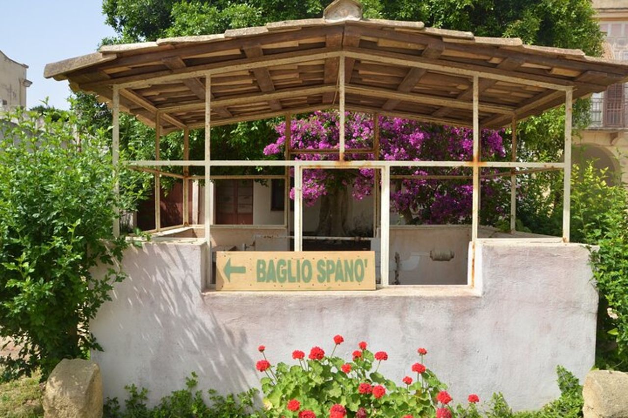 Tour in Quad- tra vigneti e Mare con calice di vino. — 7