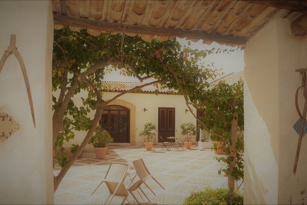 Tour in Quad- tra vigneti e Mare con calice di vino. — 8