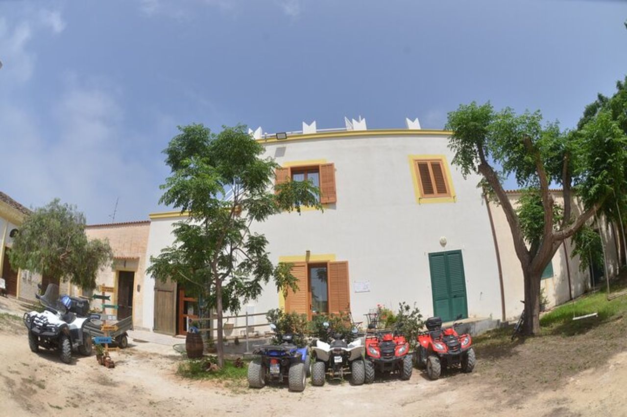 Tour in Quad- tra vigneti e Mare con calice di vino. — 9