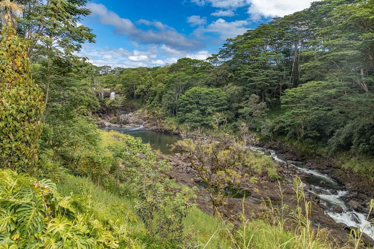 Escursione privata a terra Hilo - Vulcani, cascate e spiagge — 5