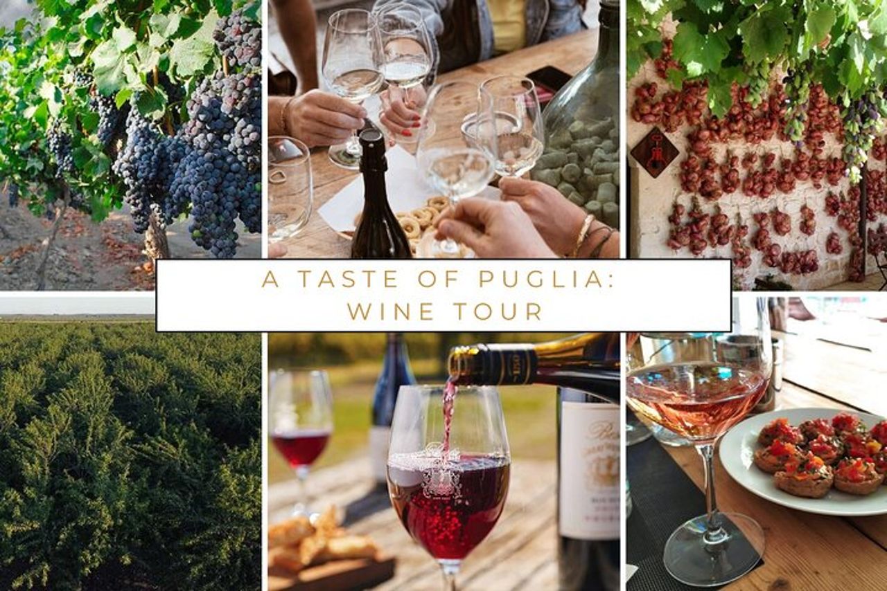 Trani : Degustazione di vini e pranzo leggero in vigna
