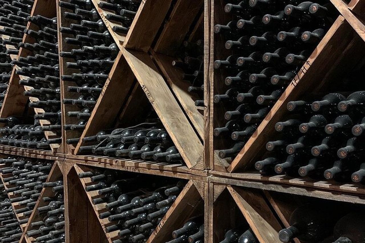 Trani : Degustazione di vini e pranzo leggero in vigna — 6