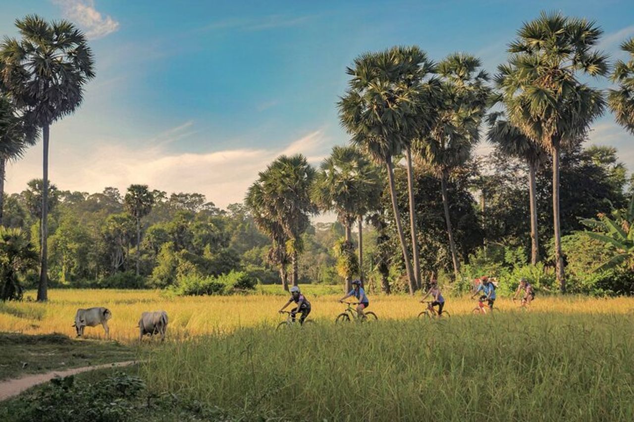 Tour guidato della campagna di Siem Reap in bicicletta e tour privato in e-bike — 9