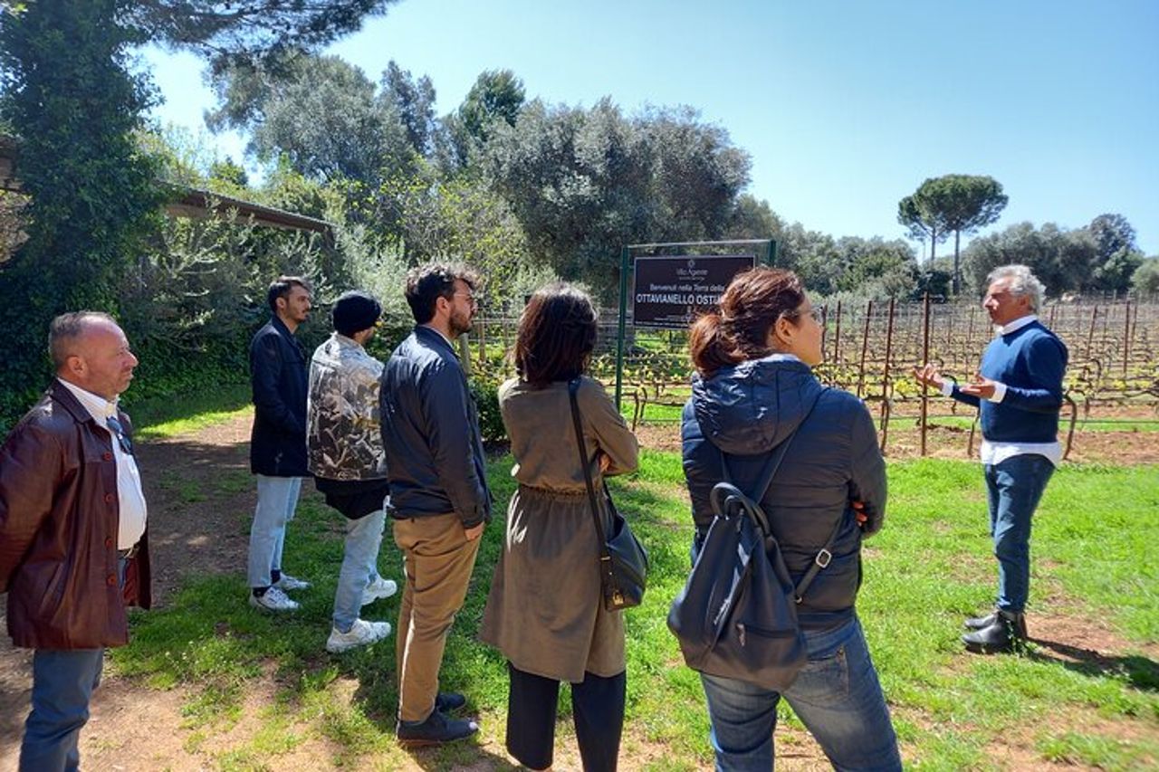 Ostuni DOC winetour e tasting. — 5