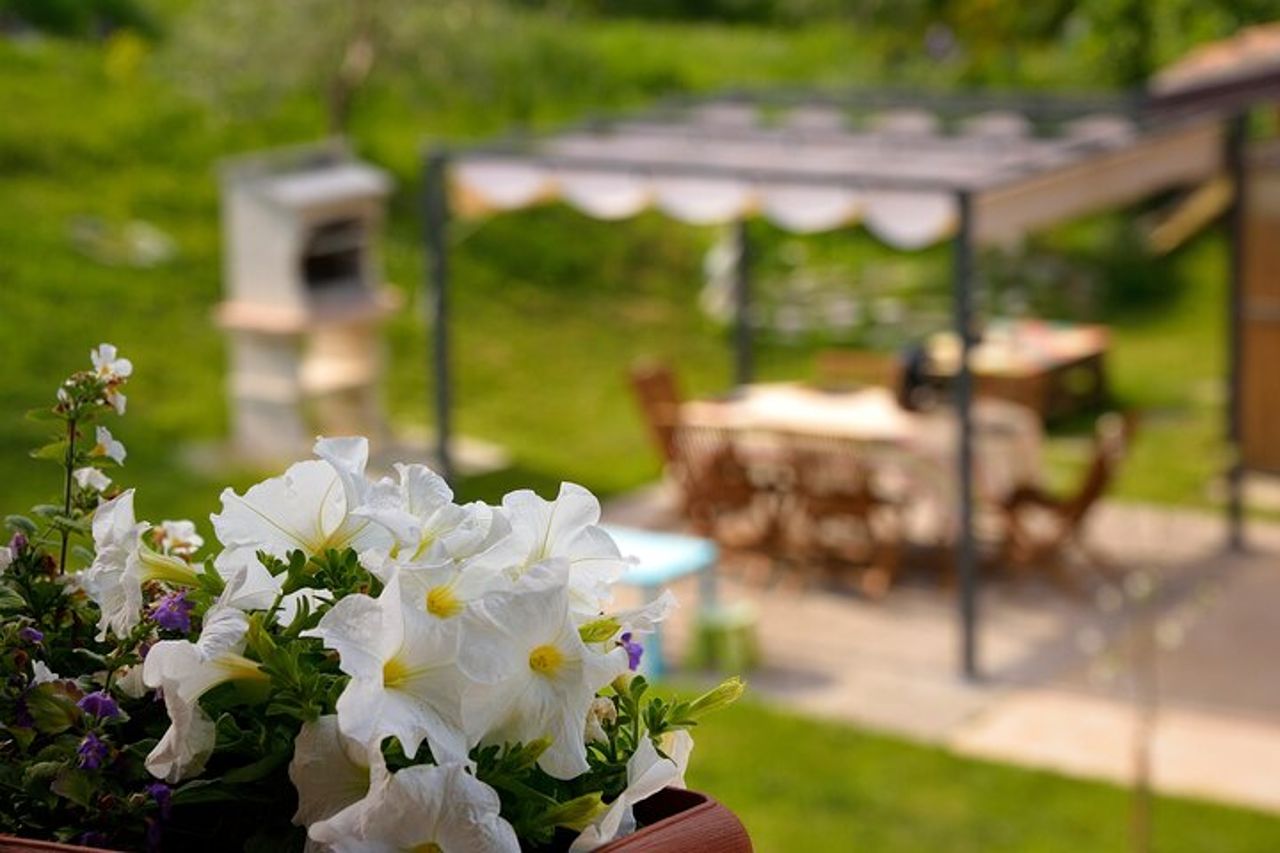 Kirkaia Home dinner: Giardino dei sapori autentici — 9
