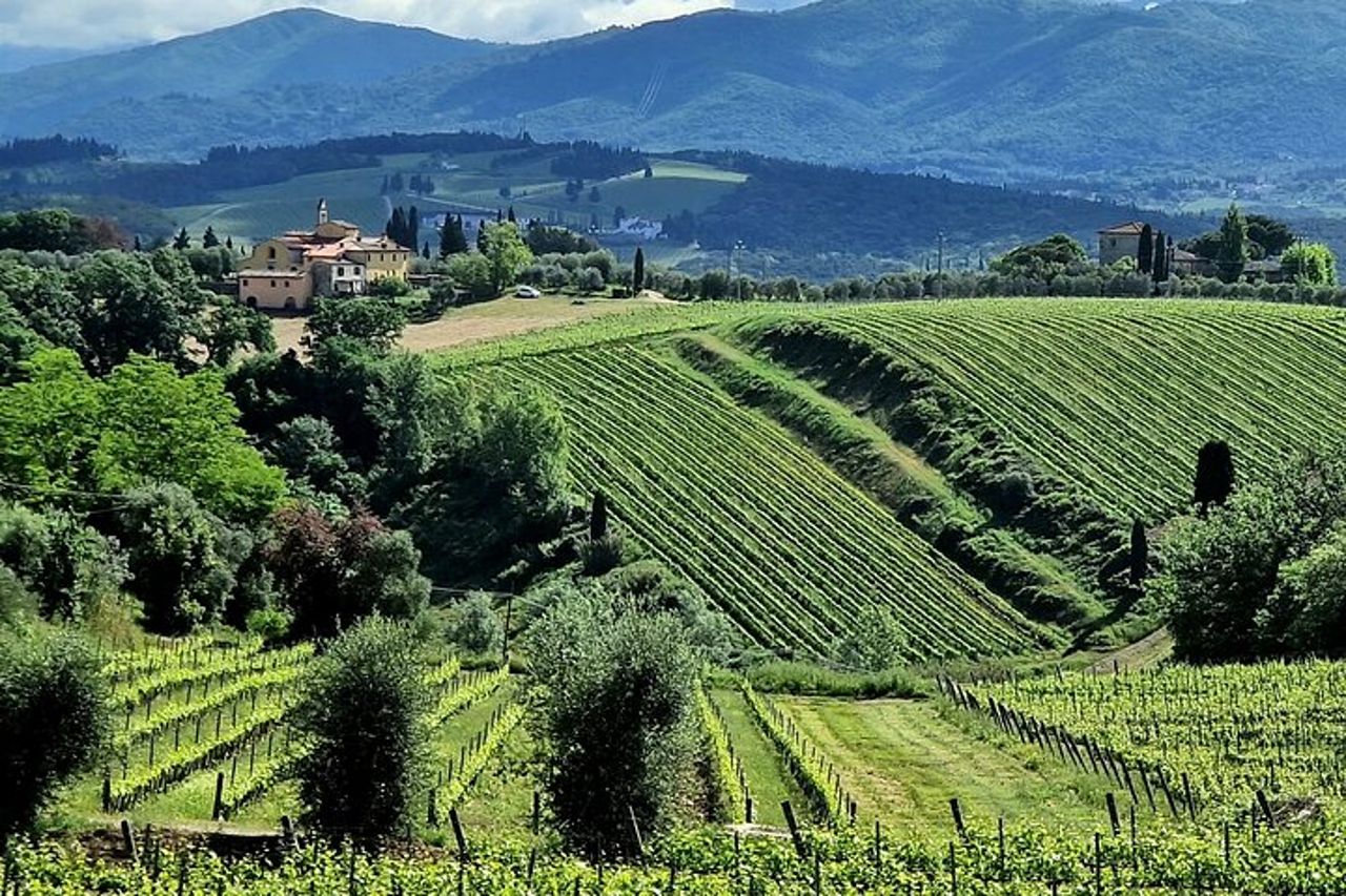 Tour del vino tutto compreso nel Chianti Toscana Servizio limousine privata — 8