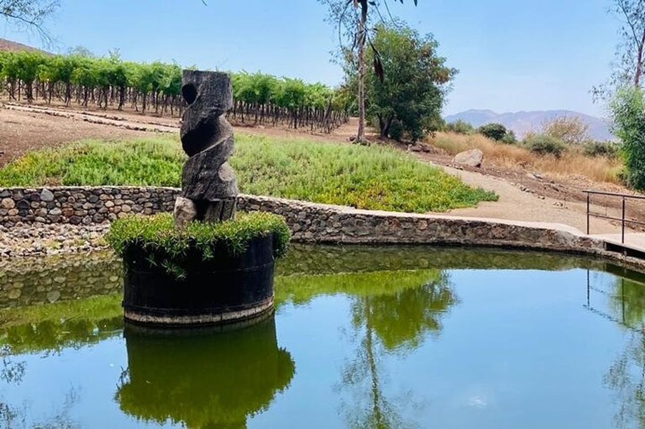 Esperienza del tour della vecchia strada del vino in Baja California. TUTTO INCLUSO! — 4