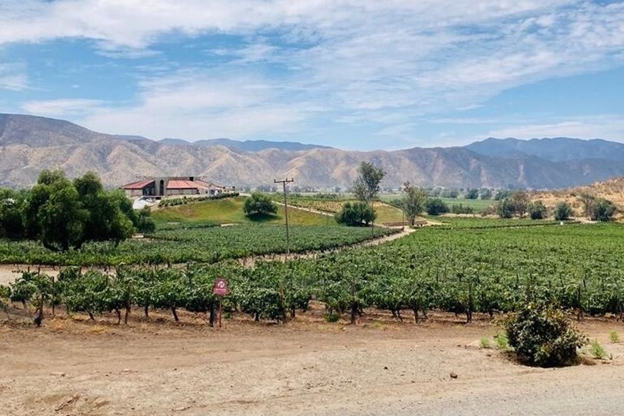 Esperienza del tour della vecchia strada del vino in Baja California. TUTTO INCLUSO! — 6